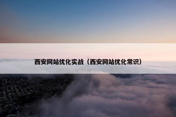 西安网站优化实战（西安网站优化常识）