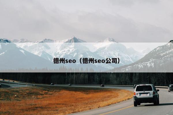 德州seo（德州seo公司）