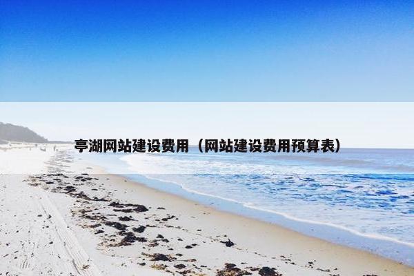亭湖网站建设费用（网站建设费用预算表）