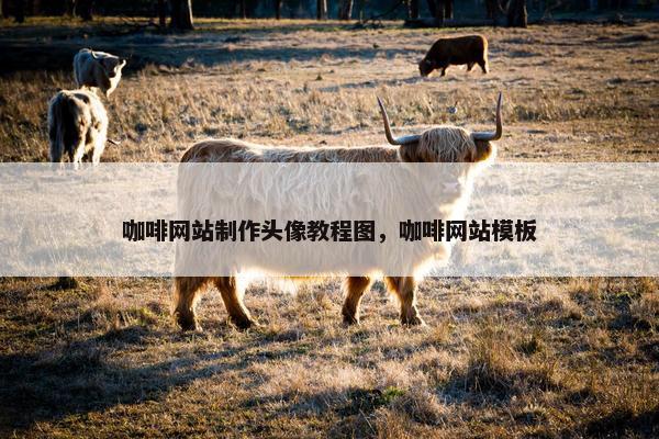 咖啡网站制作头像教程图，咖啡网站模板
