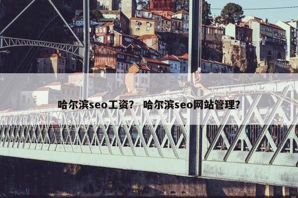 哈尔滨seo工资？ 哈尔滨seo网站管理？