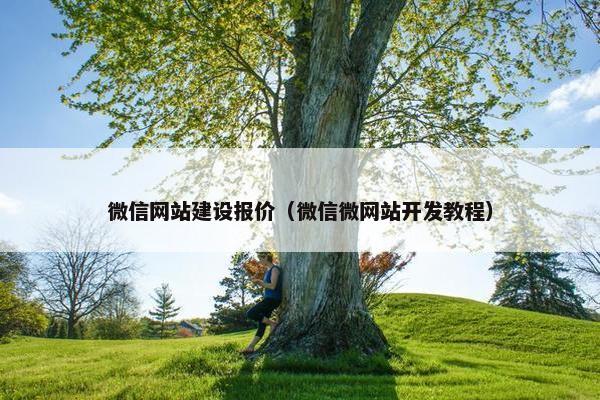 微信网站建设报价（微信微网站开发教程）