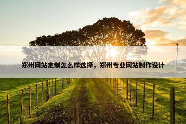 郑州网站定制怎么样选择，郑州专业网站制作设计