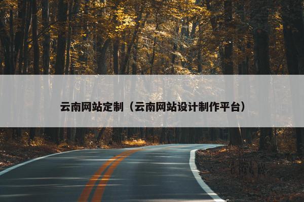 云南网站定制（云南网站设计制作平台）