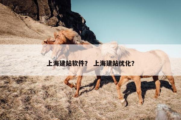 上海建站软件？ 上海建站优化？