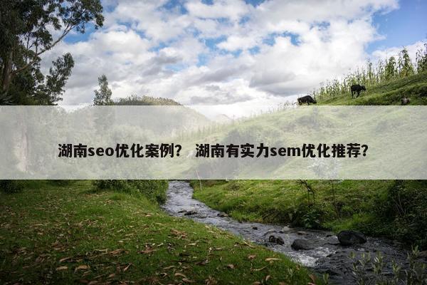 湖南seo优化案例？ 湖南有实力sem优化推荐？