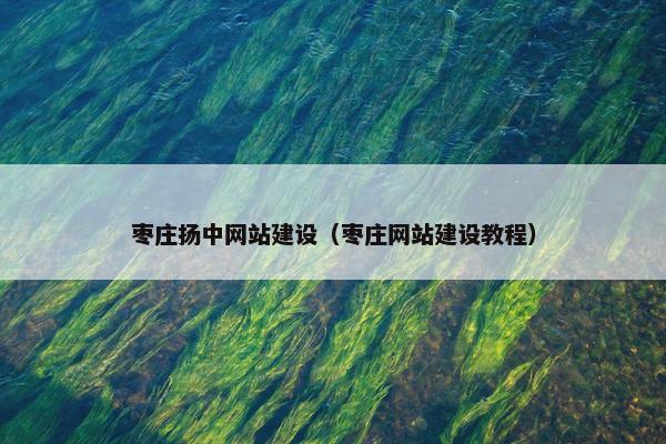 枣庄扬中网站建设（枣庄网站建设教程）