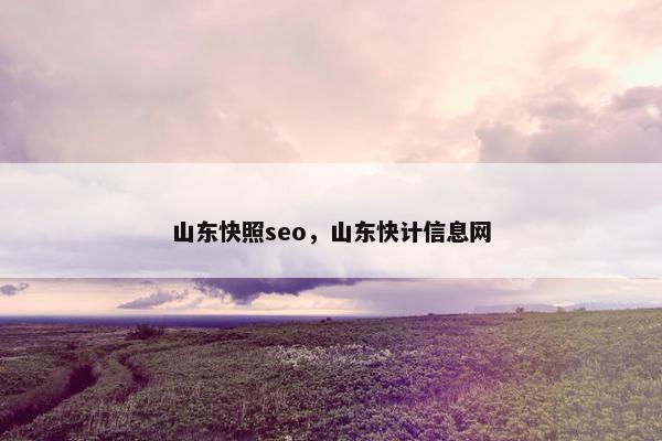 山东快照seo，山东快计信息网