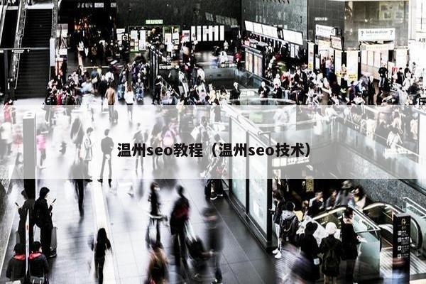 温州seo教程（温州seo技术）