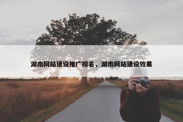 湖南网站建设推广排名，湖南网站建设效果