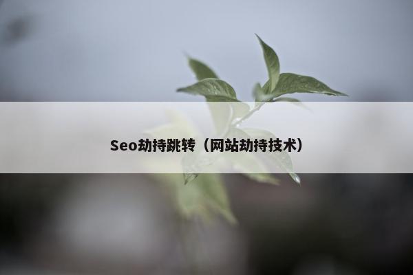 Seo劫持跳转（网站劫持技术）