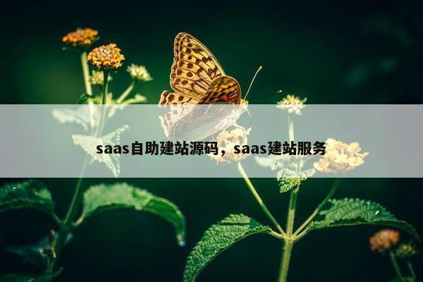 saas自助建站源码，saas建站服务