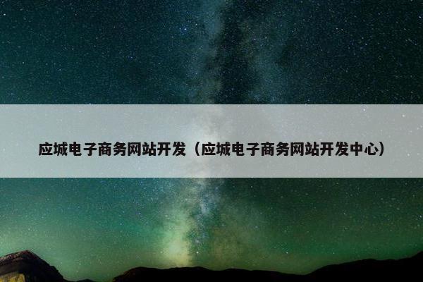 应城电子商务网站开发（应城电子商务网站开发中心）