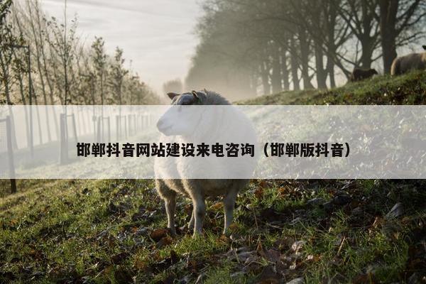 邯郸抖音网站建设来电咨询（邯郸版抖音）