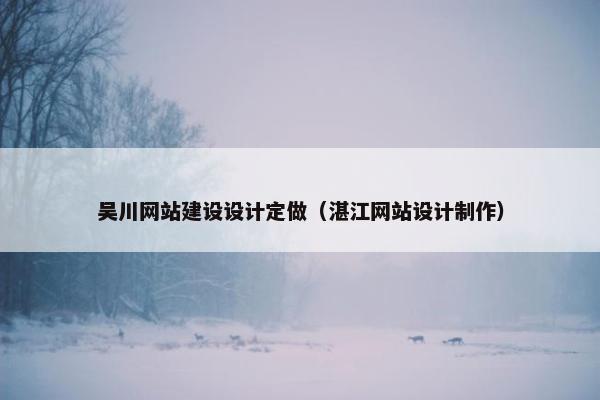 吴川网站建设设计定做（湛江网站设计制作）