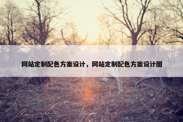 网站定制配色方案设计，网站定制配色方案设计图