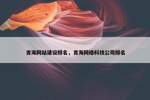 青海网站建设排名，青海网络科技公司排名