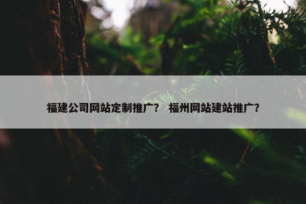 福建公司网站定制推广？ 福州网站建站推广？