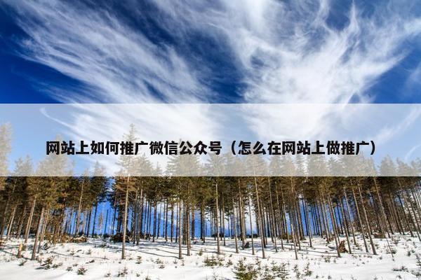 网站上如何推广微信公众号（怎么在网站上做推广）