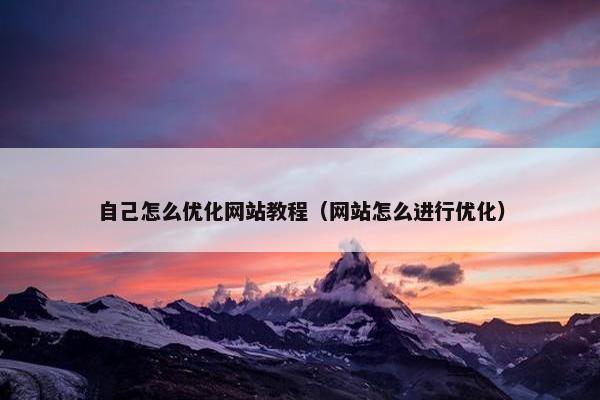 自己怎么优化网站教程（网站怎么进行优化）