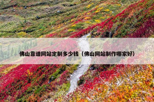 佛山靠谱网站定制多少钱（佛山网站制作哪家好）