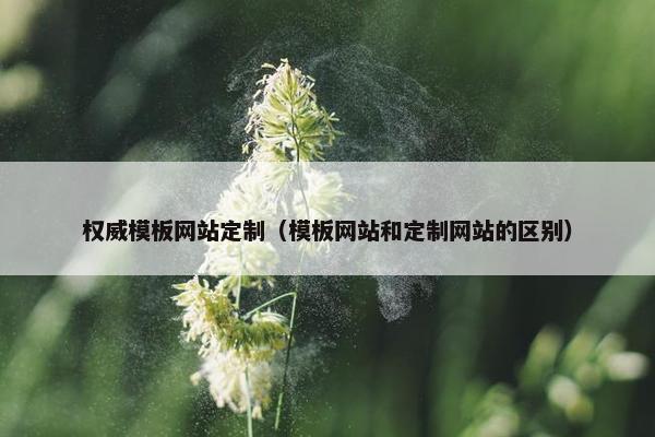 权威模板网站定制（模板网站和定制网站的区别）