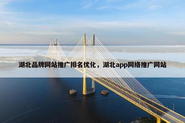 湖北品牌网站推广排名优化，湖北app网络推广网站