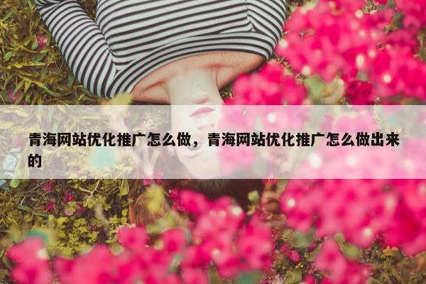 青海网站优化推广怎么做，青海网站优化推广怎么做出来的