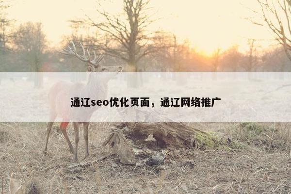 通辽seo优化页面，通辽网络推广