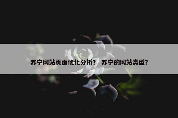 苏宁网站页面优化分析？ 苏宁的网站类型？