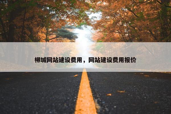 柳城网站建设费用，网站建设费用报价