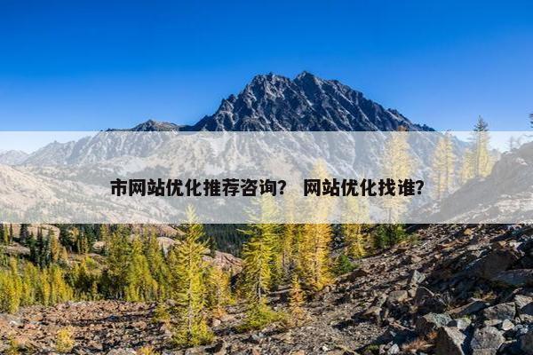 市网站优化推荐咨询？ 网站优化找谁？