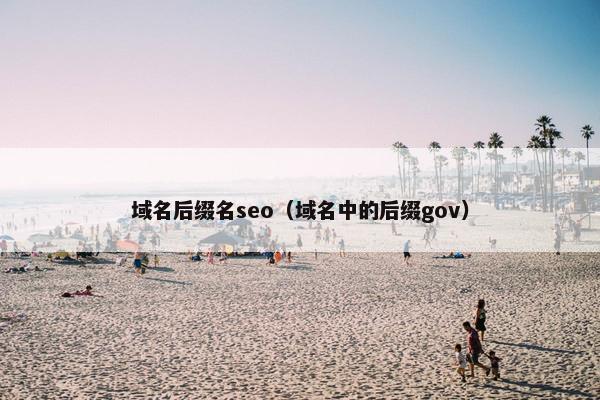域名后缀名seo（域名中的后缀gov）