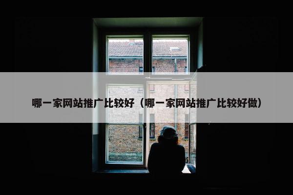 哪一家网站推广比较好（哪一家网站推广比较好做）