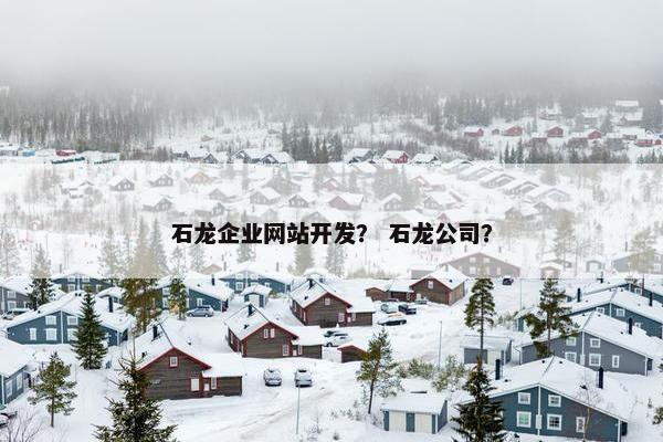 石龙企业网站开发？ 石龙公司？