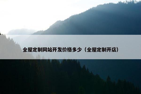 全屋定制网站开发价格多少（全屋定制开店）