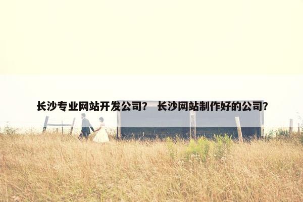长沙专业网站开发公司？ 长沙网站制作好的公司？