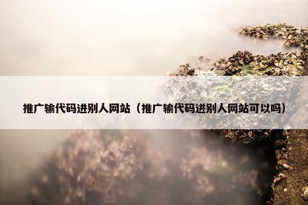 推广输代码进别人网站（推广输代码进别人网站可以吗）