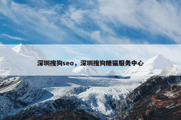 深圳搜狗seo，深圳搜狗糖猫服务中心