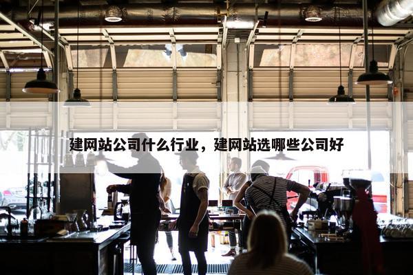 建网站公司什么行业，建网站选哪些公司好