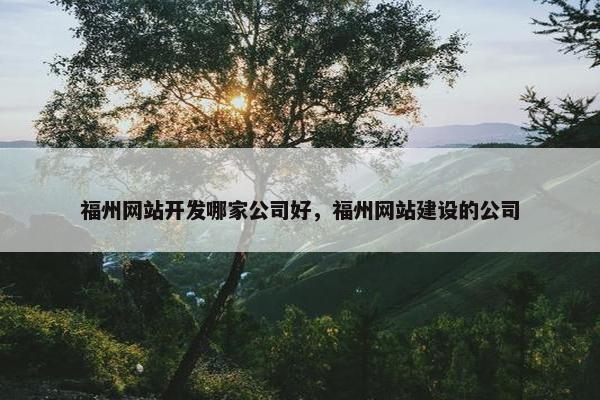 福州网站开发哪家公司好，福州网站建设的公司