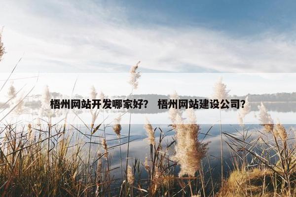 梧州网站开发哪家好？ 梧州网站建设公司？