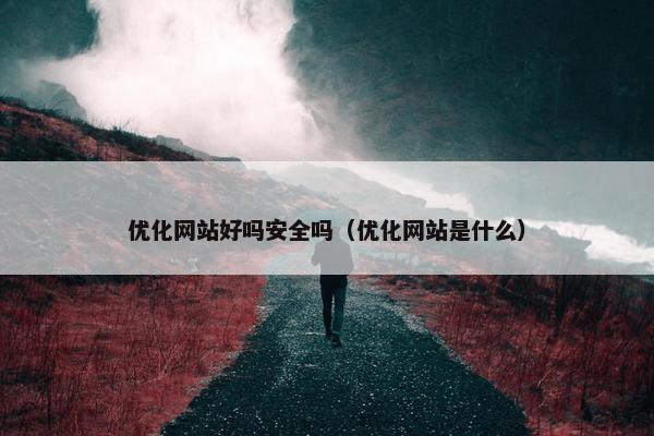 优化网站好吗安全吗（优化网站是什么）