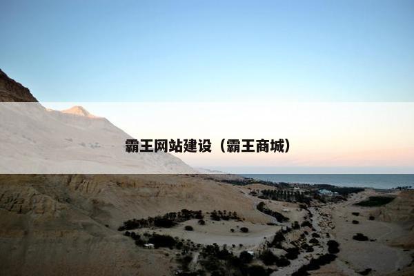 霸王网站建设（霸王商城）