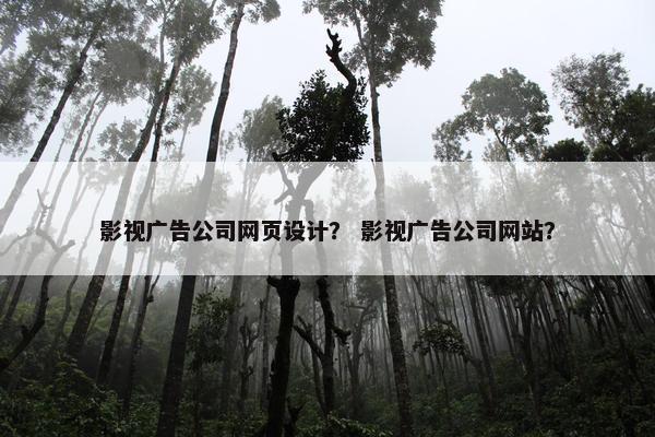 影视广告公司网页设计？ 影视广告公司网站？