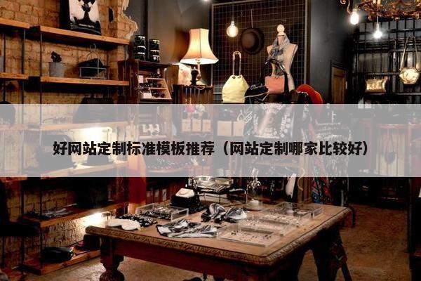 好网站定制标准模板推荐（网站定制哪家比较好）