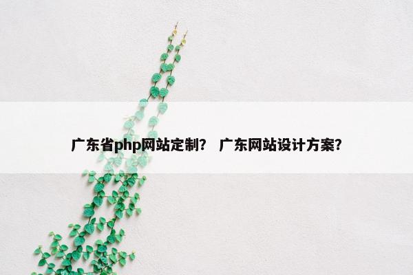 广东省php网站定制？ 广东网站设计方案？