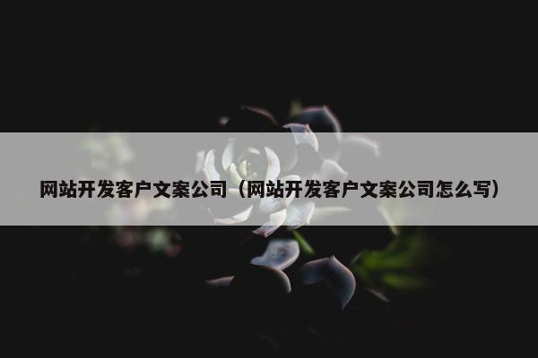 网站开发客户文案公司（网站开发客户文案公司怎么写）