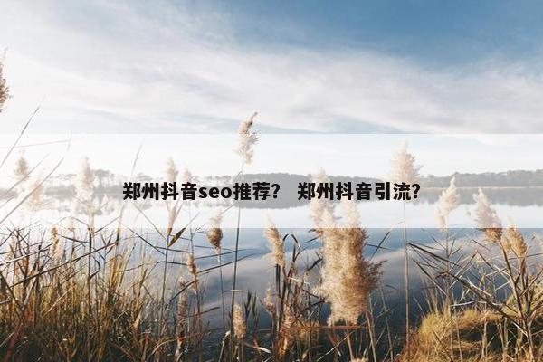 郑州抖音seo推荐？ 郑州抖音引流？