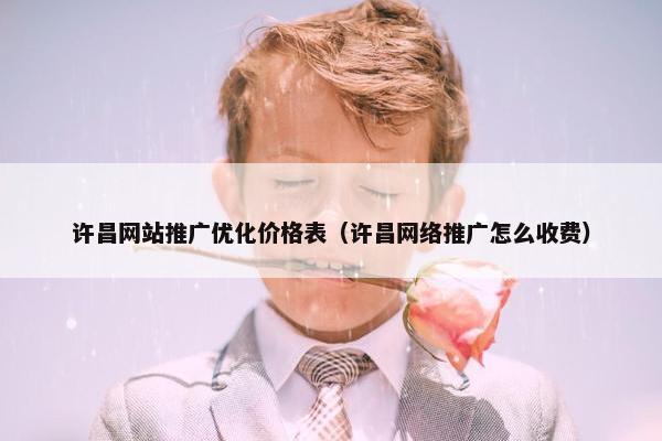 许昌网站推广优化价格表（许昌网络推广怎么收费）